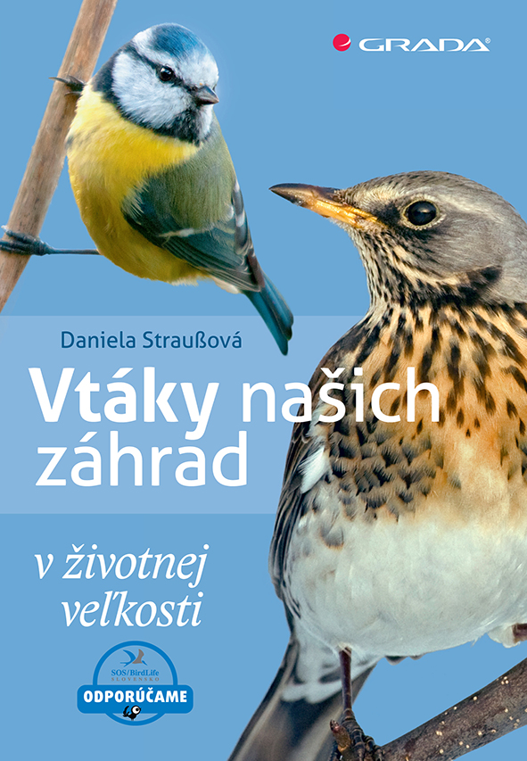 Vtáky našich záhrad v životnej veľkosti