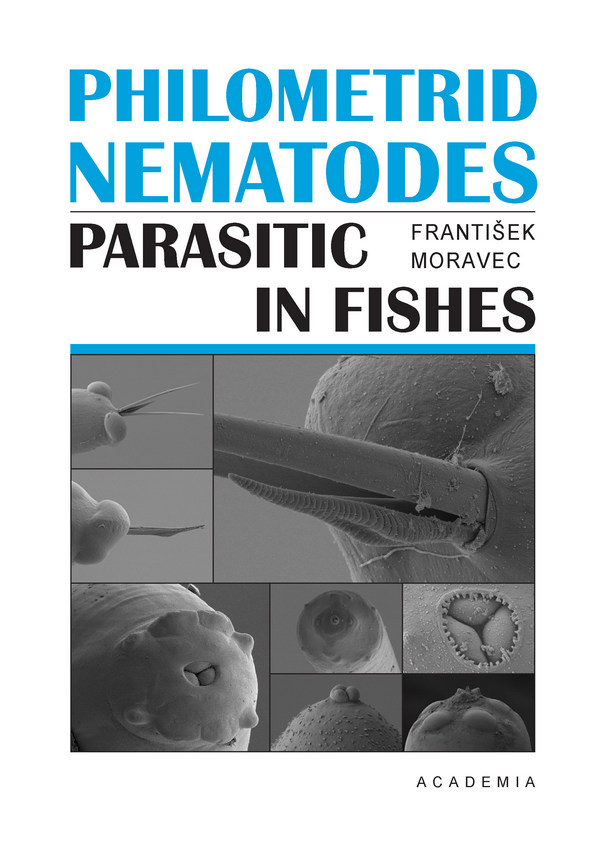 Philometrid nematodes parasitic in fishes