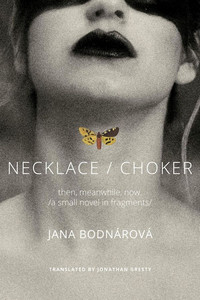 Necklace / Choker