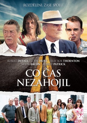 Kniha Co čas nezahojil - DVD