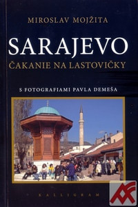 Sarajevo. Čakanie na lastovičky