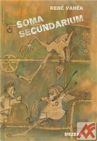 Soma secundarium