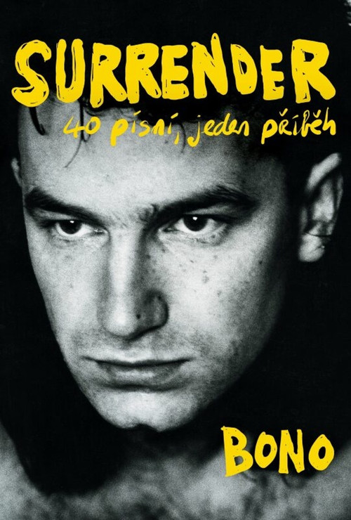 Surrender (české vydanie)