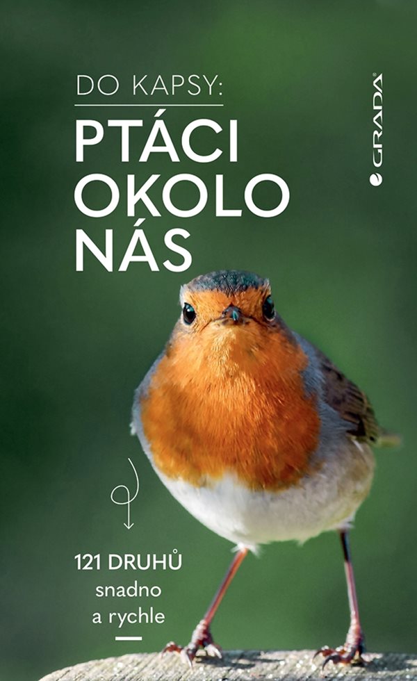 Do kapsy: Ptáci okolo nás