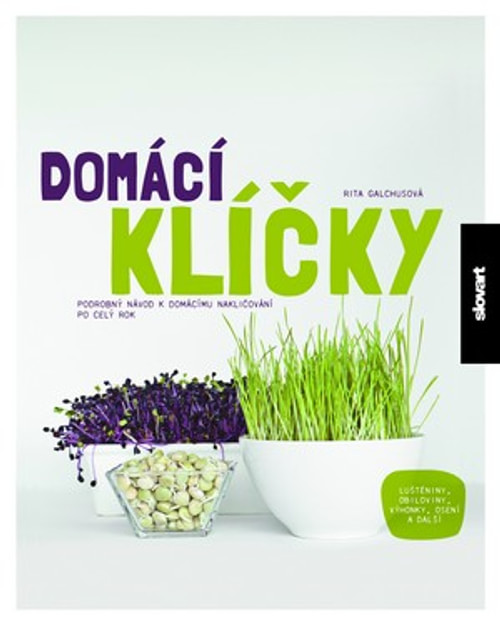 Domácí klíčky. Podrobný návod k domácímu nakličování po celý rok