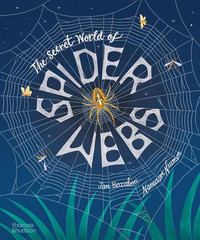 The Secret World of Spider Webs