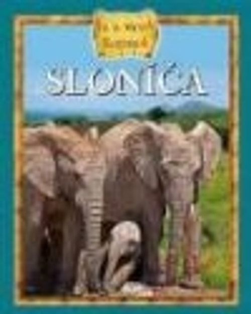 Sloníča. Ja a moja rodina + DVD